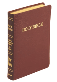 Catholic Companion Edition Bible - Large Print 