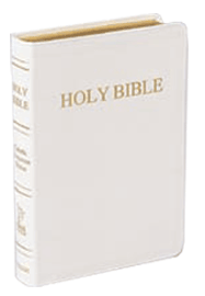 Catholic Companion Edition Bible - Regular Print 