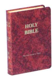 Fireside Study Edition Bible